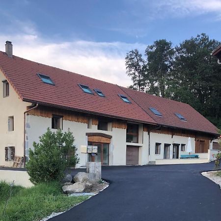 圣马丁贝鲁T4 Meuble De 105M2 Axe Annecy-Geneve公寓 外观 照片